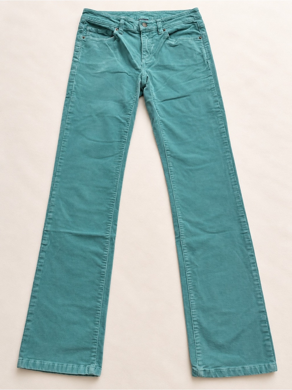 Patagonia Womenβs 27 Teal Organic Cotton Corduroy Pants